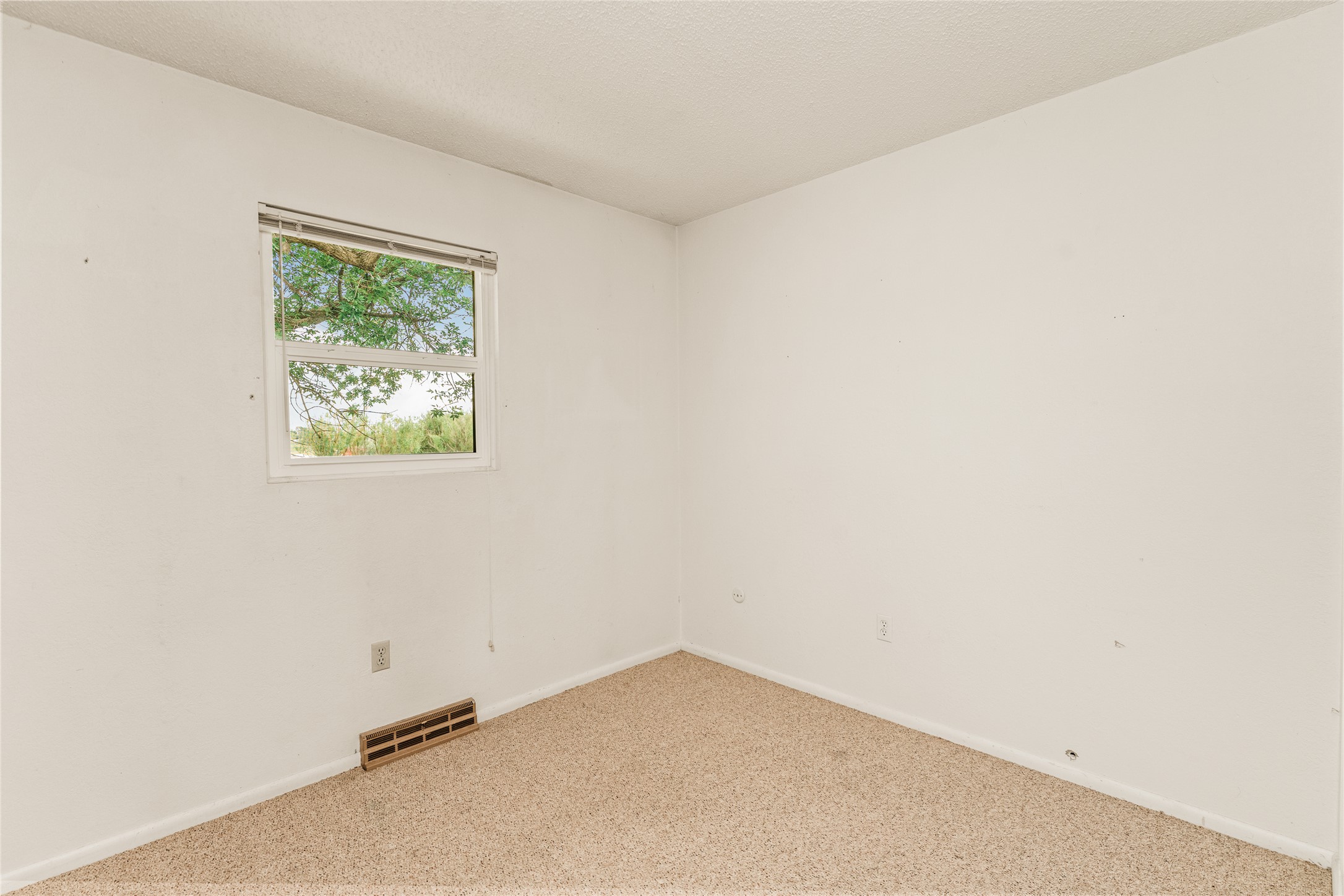 4806 3rd Avenue S Property Photo 12