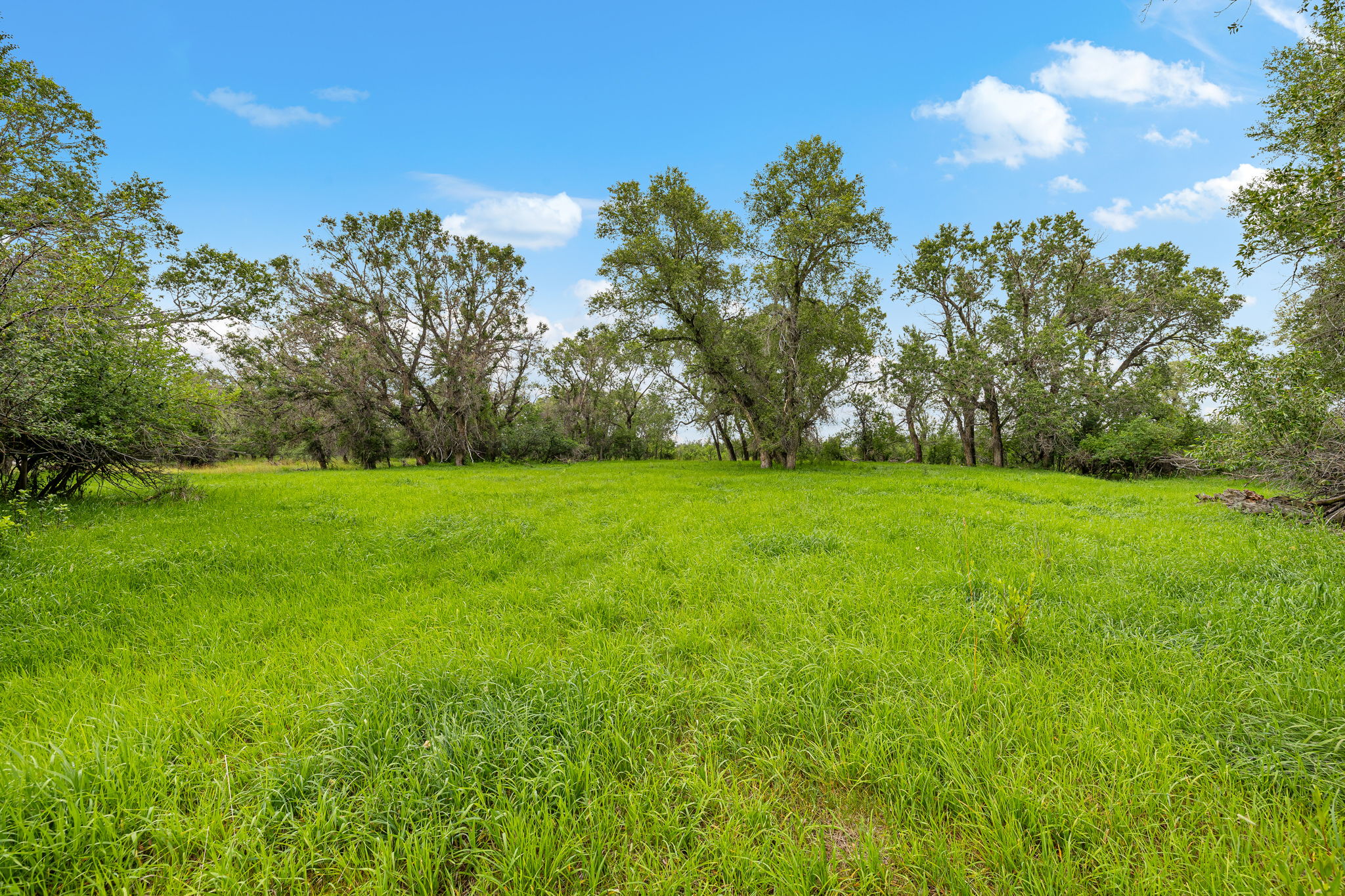 6058 Cottonwood Creek Road Property Photo 38