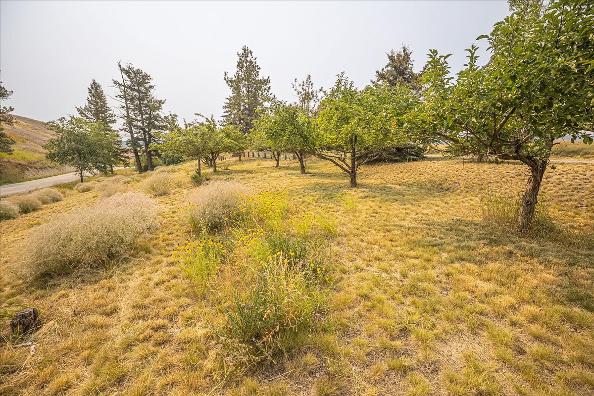 107 White Eagle Drive Property Photo 39