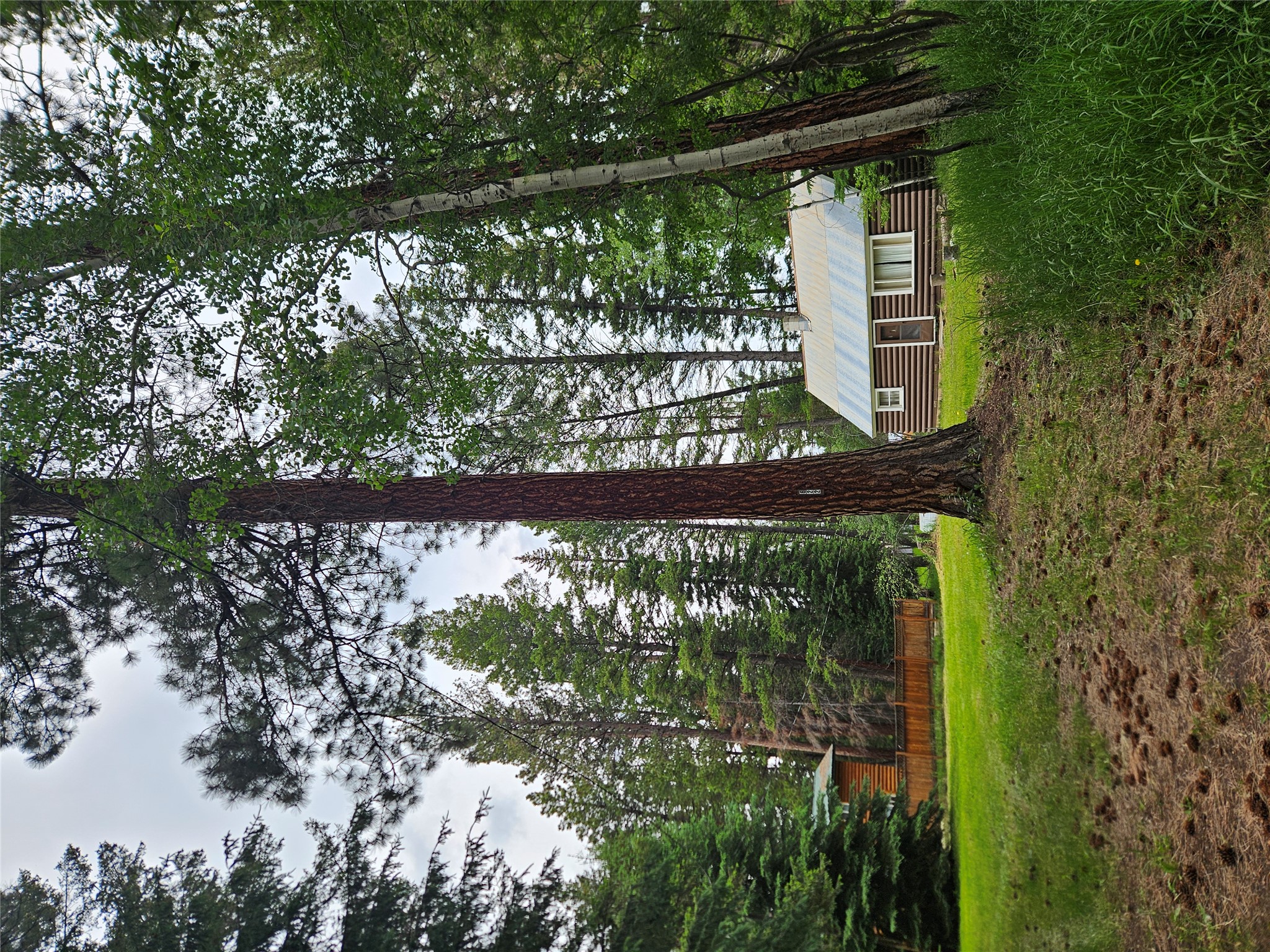 622 D Street Property Photo 19