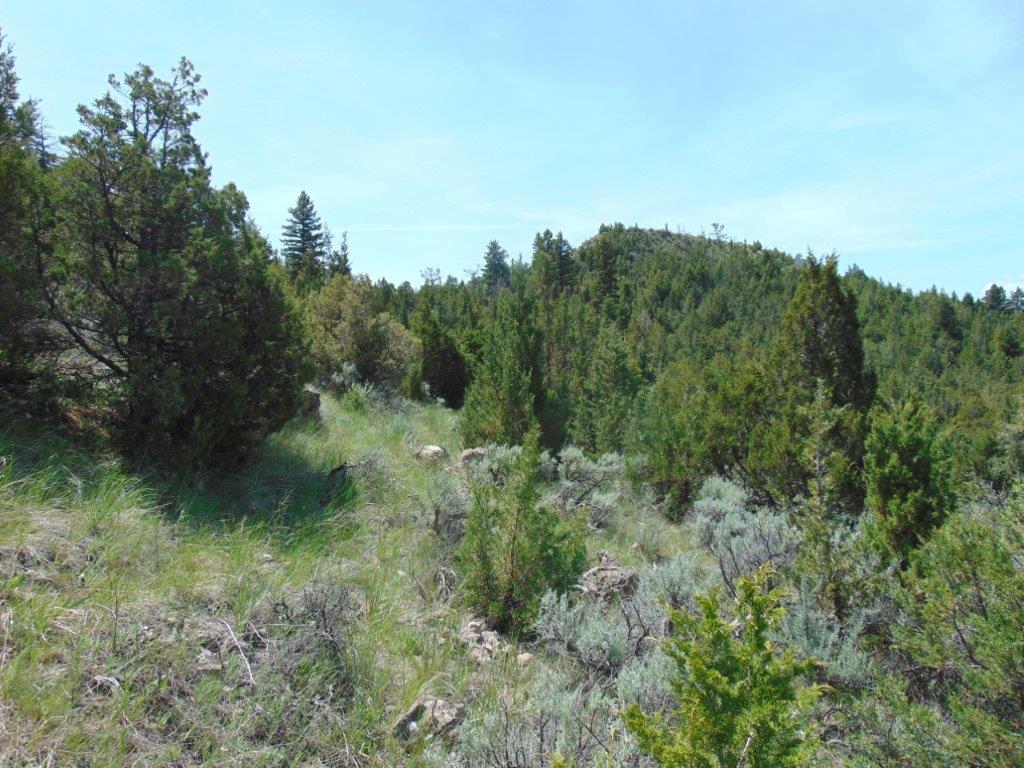 Tbd Lone Wolf Trail Property Photo 2