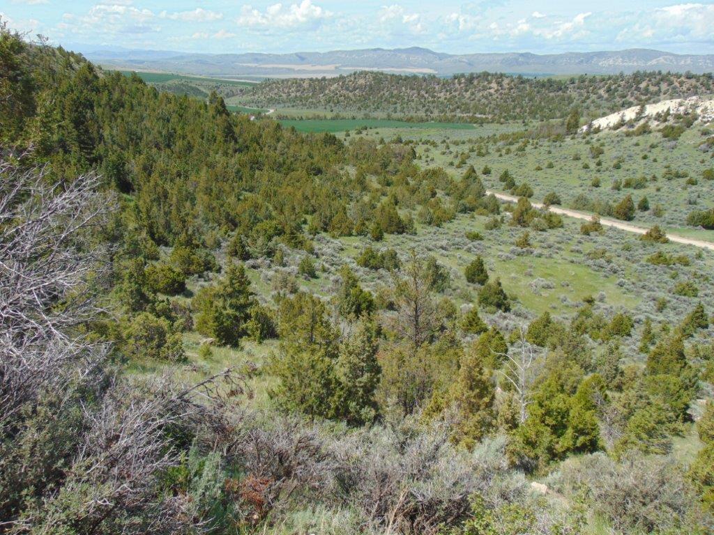 Tbd Lone Wolf Trail Property Photo 5