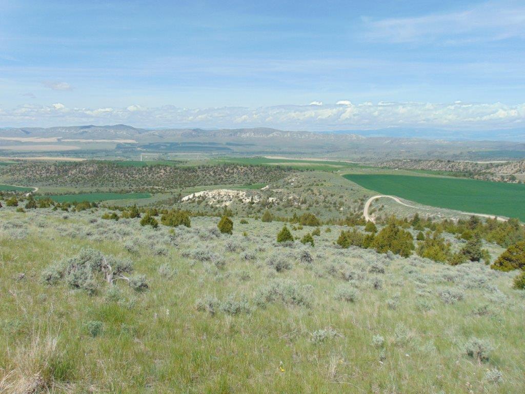 Tbd Lone Wolf Trail Property Photo 6