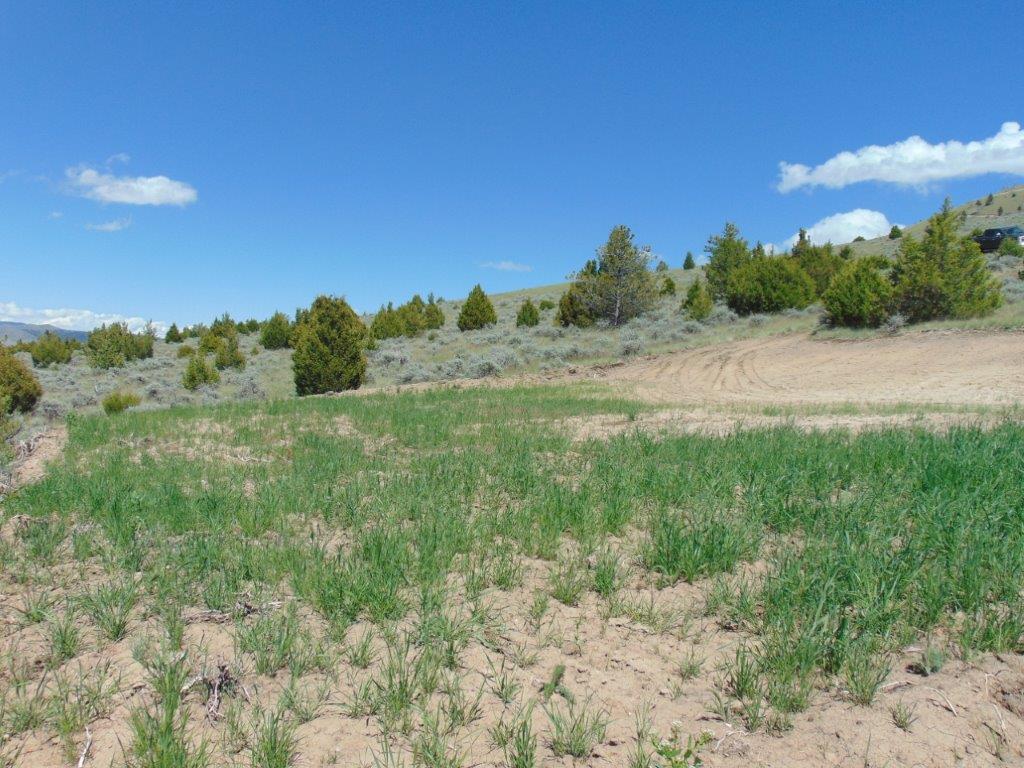 Tbd Lone Wolf Trail Property Photo 8