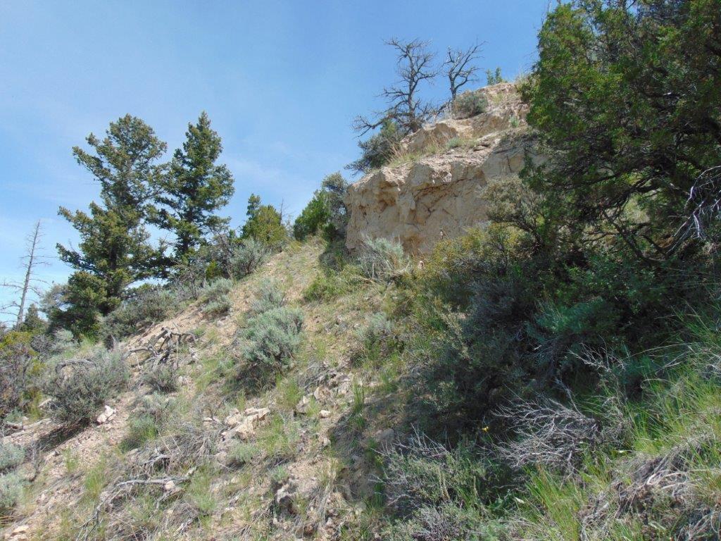 Tbd Lone Wolf Trail Property Photo 12