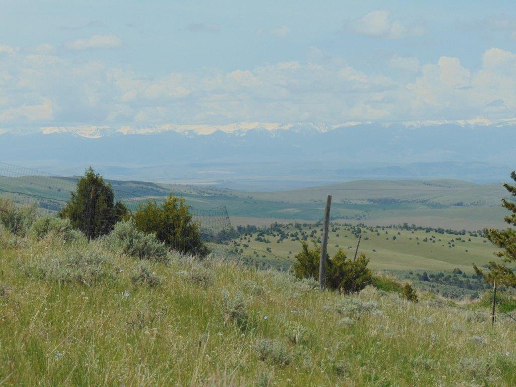 Tbd Lone Wolf Trail Property Photo 13