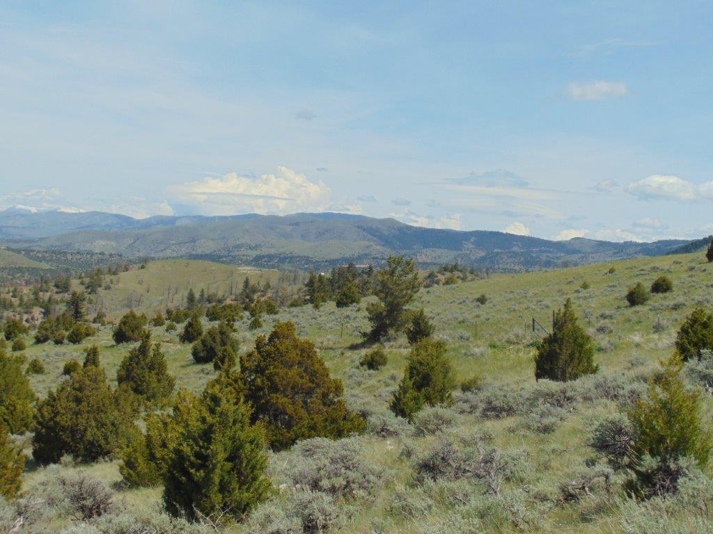 Tbd Lone Wolf Trail Property Photo 14