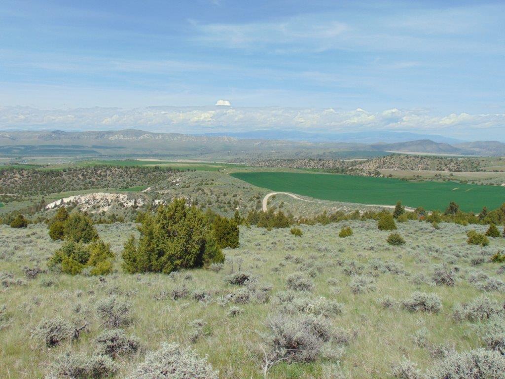 Tbd Lone Wolf Trail Property Photo 15