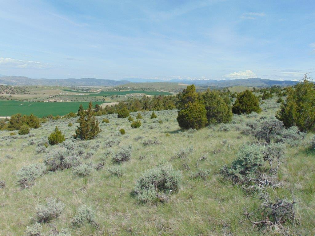 Tbd Lone Wolf Trail Property Photo 18