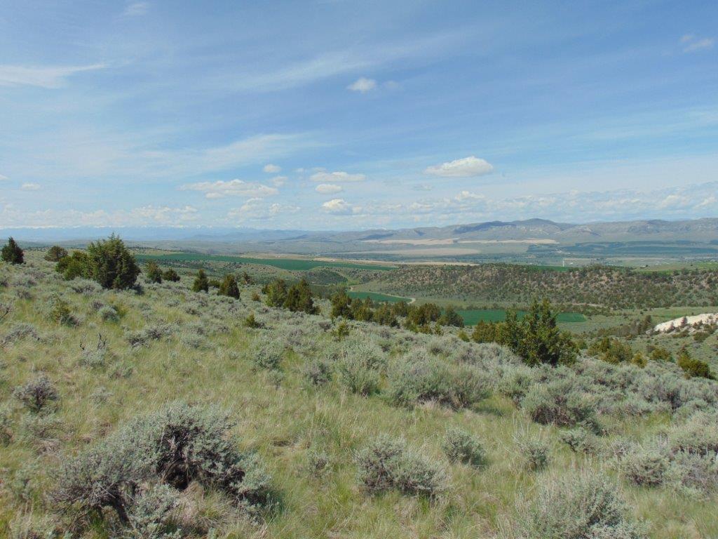 Tbd Lone Wolf Trail Property Photo 22