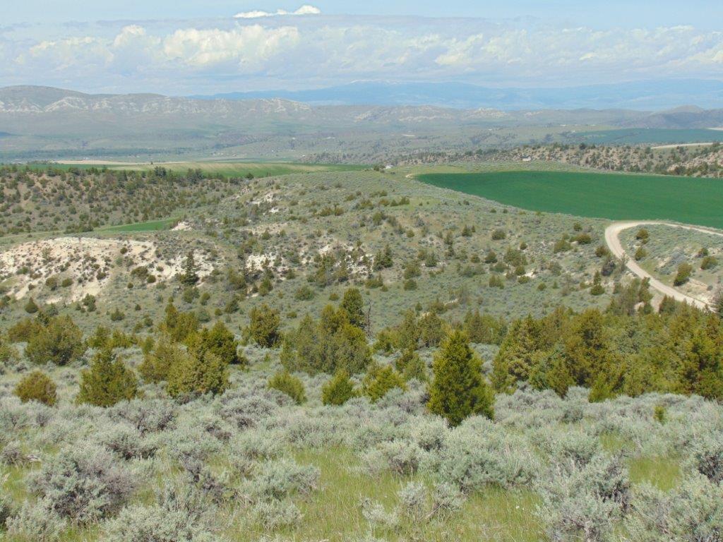 Tbd Lone Wolf Trail Property Photo 23
