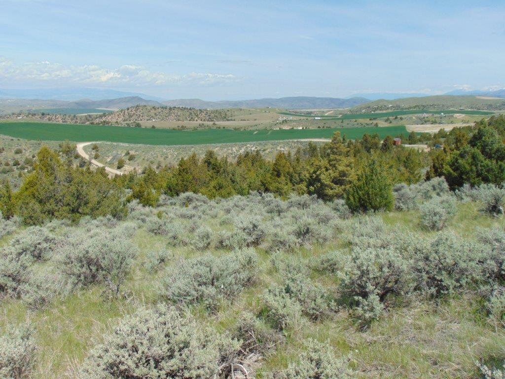 Tbd Lone Wolf Trail Property Photo 24
