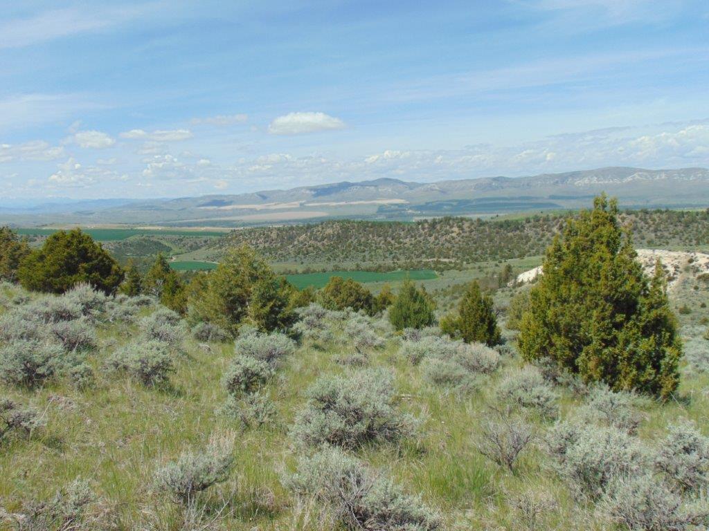 Tbd Lone Wolf Trail Property Photo 26