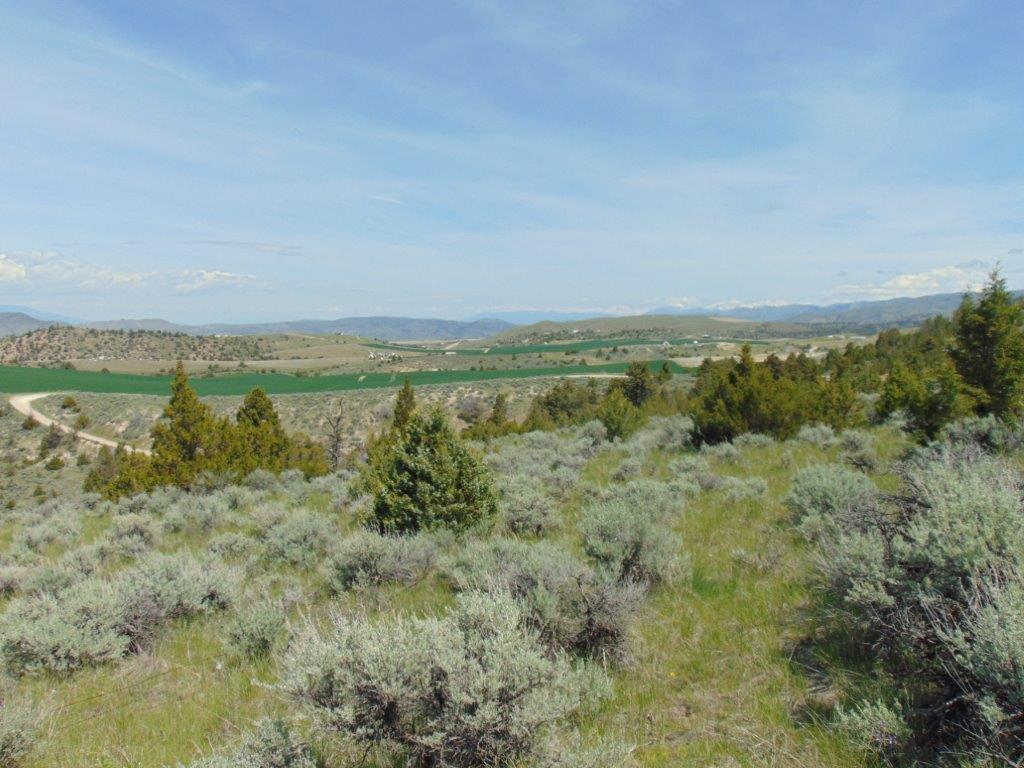 Tbd Lone Wolf Trail Property Photo 27