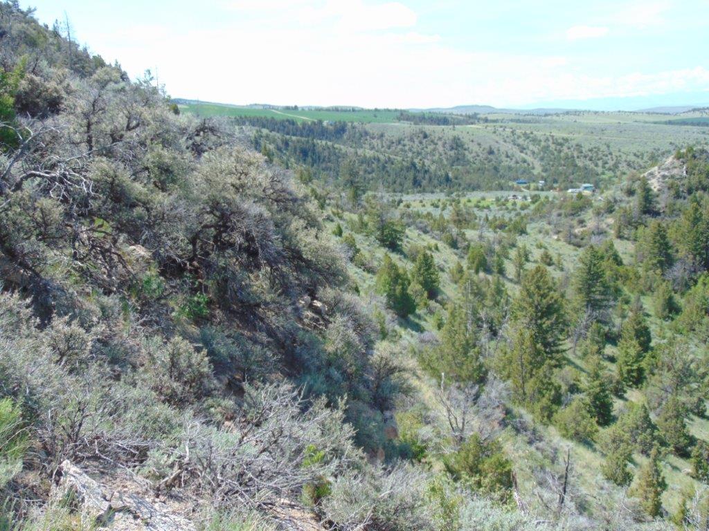 Tbd Lone Wolf Trail Property Photo 29