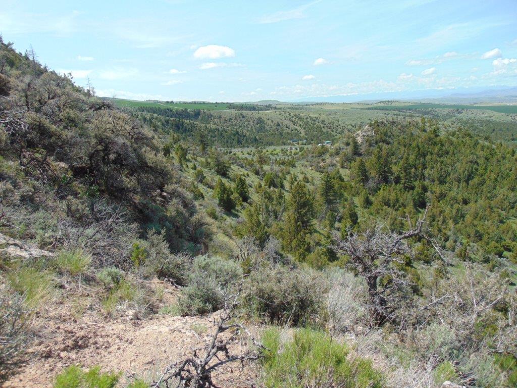 Tbd Lone Wolf Trail Property Photo 31