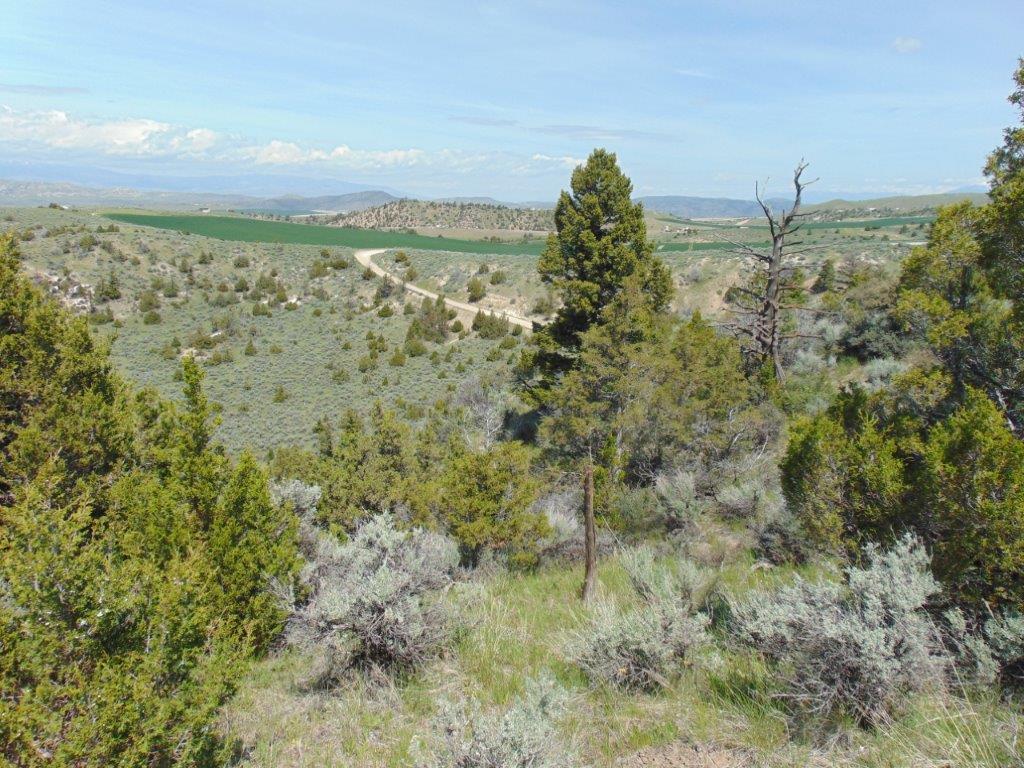 Tbd Lone Wolf Trail Property Photo 32