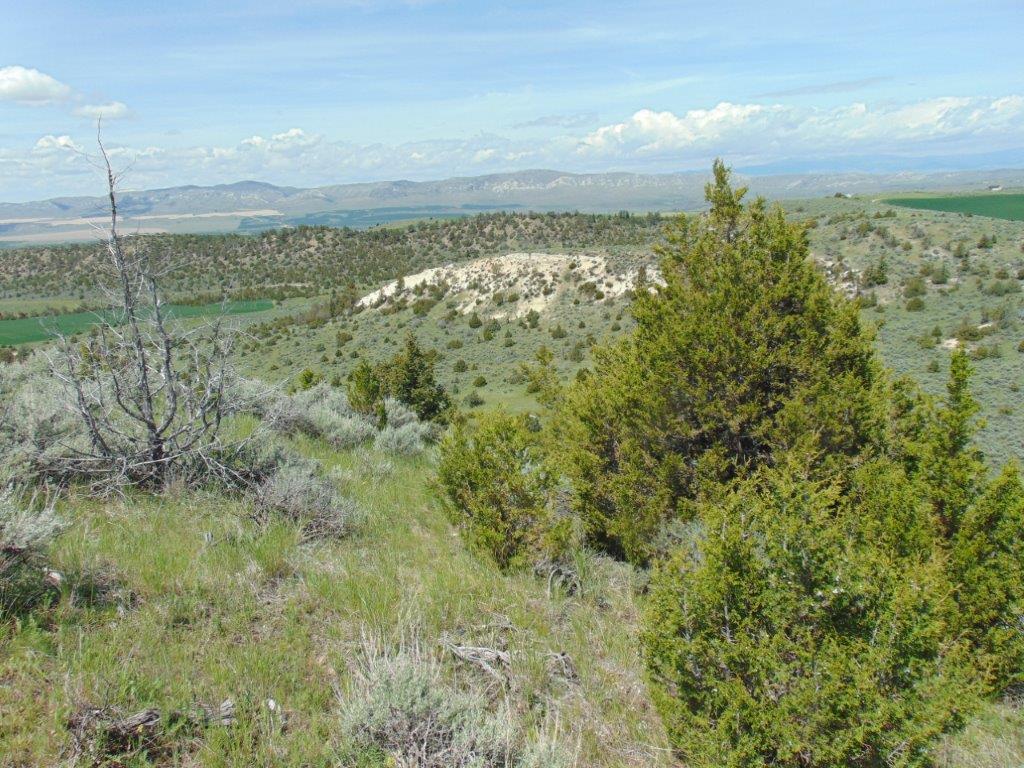 Tbd Lone Wolf Trail Property Photo 33