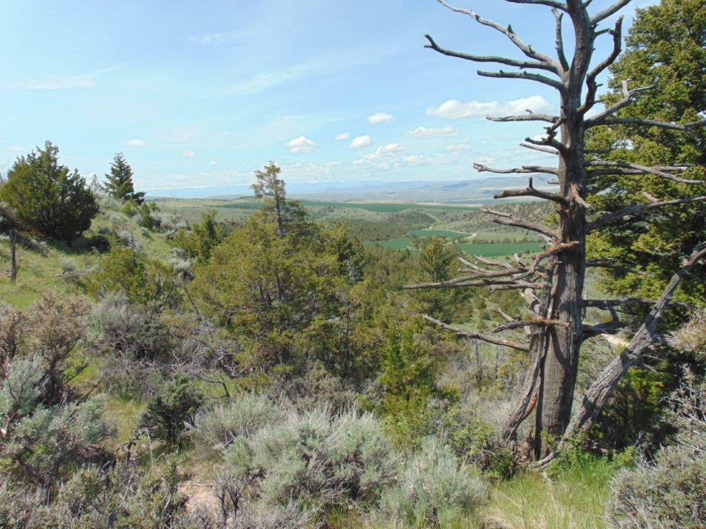 Tbd Lone Wolf Trail Property Photo 35