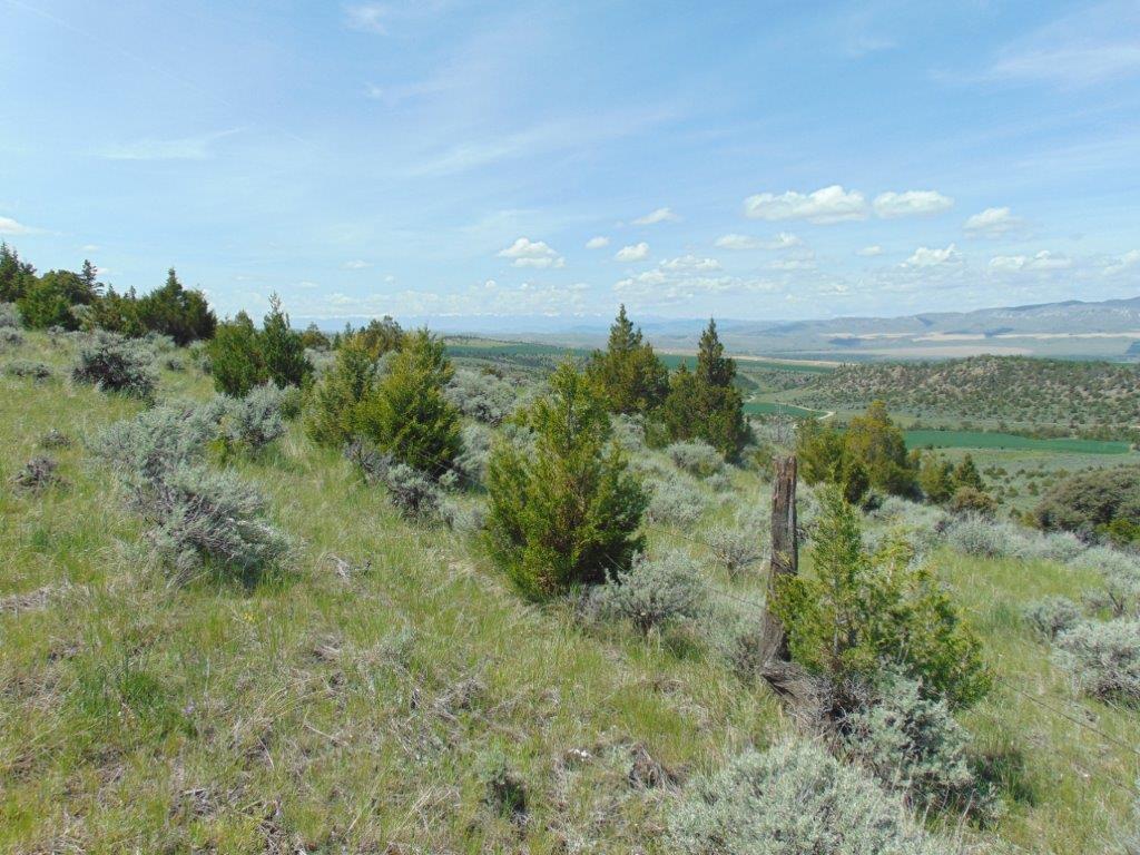 Tbd Lone Wolf Trail Property Photo 36