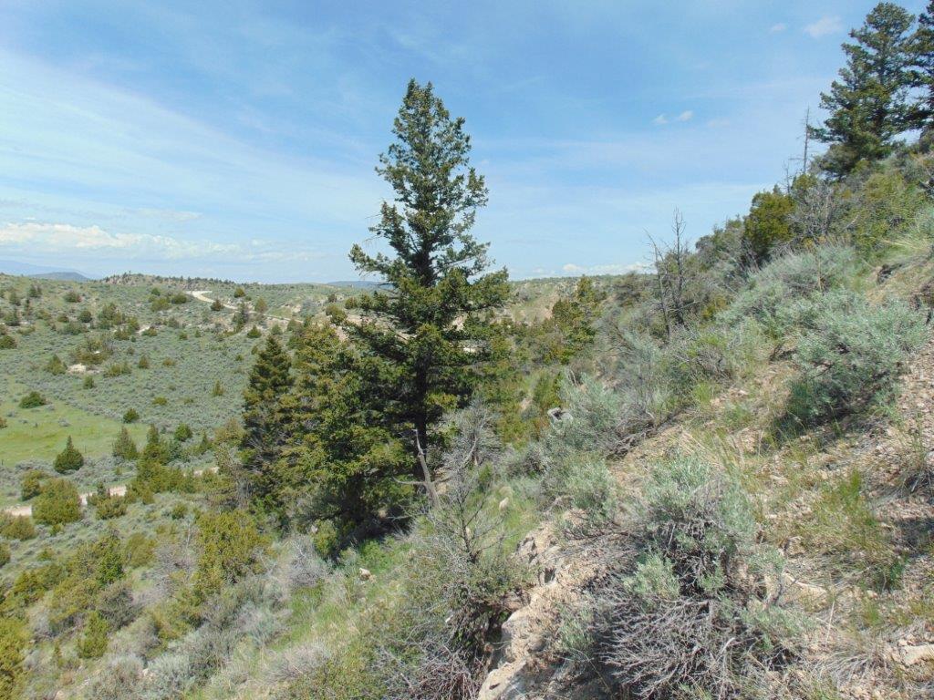 Tbd Lone Wolf Trail Property Photo 37