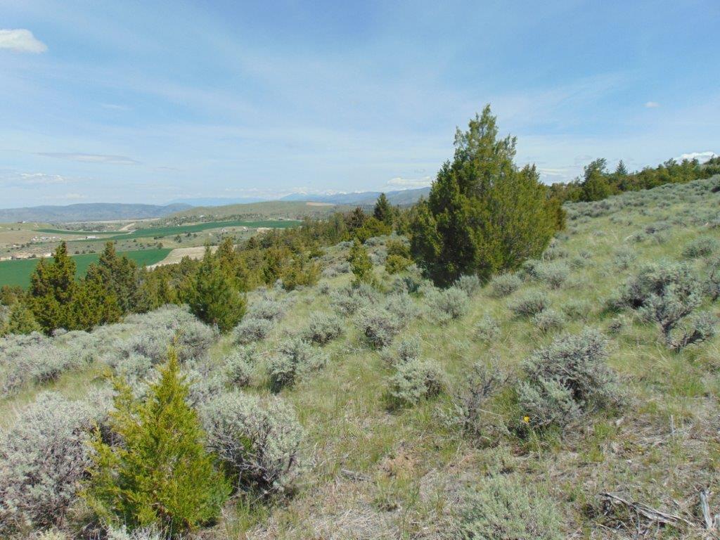 Tbd Lone Wolf Trail Property Photo 38