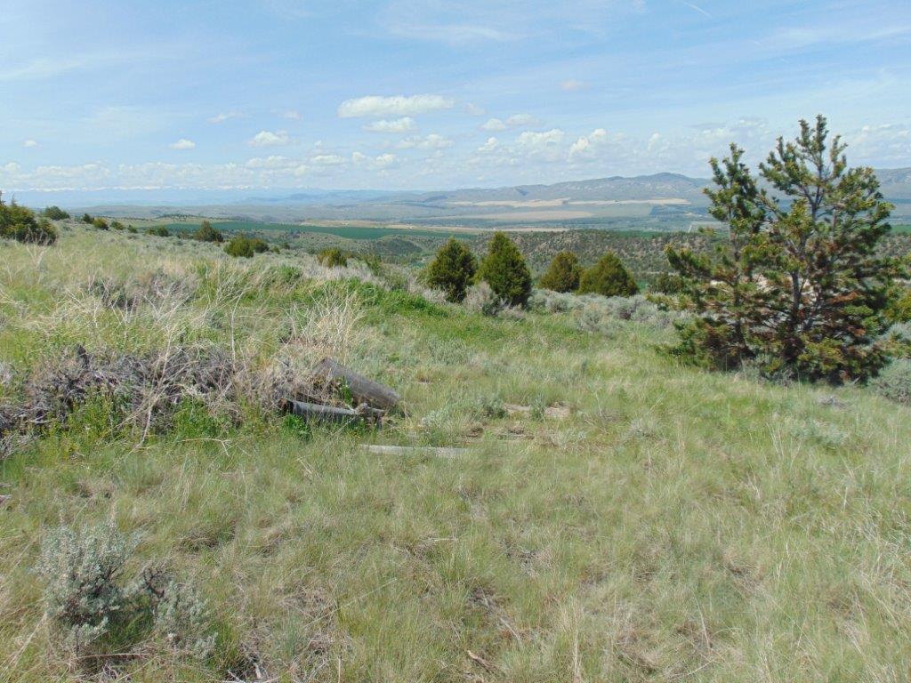Tbd Lone Wolf Trail Property Photo 40