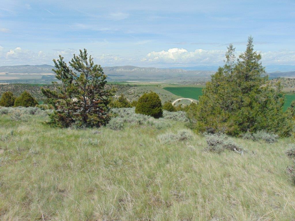 Tbd Lone Wolf Trail Property Photo 42