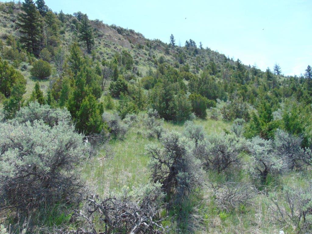 Tbd Lone Wolf Trail Property Photo 46
