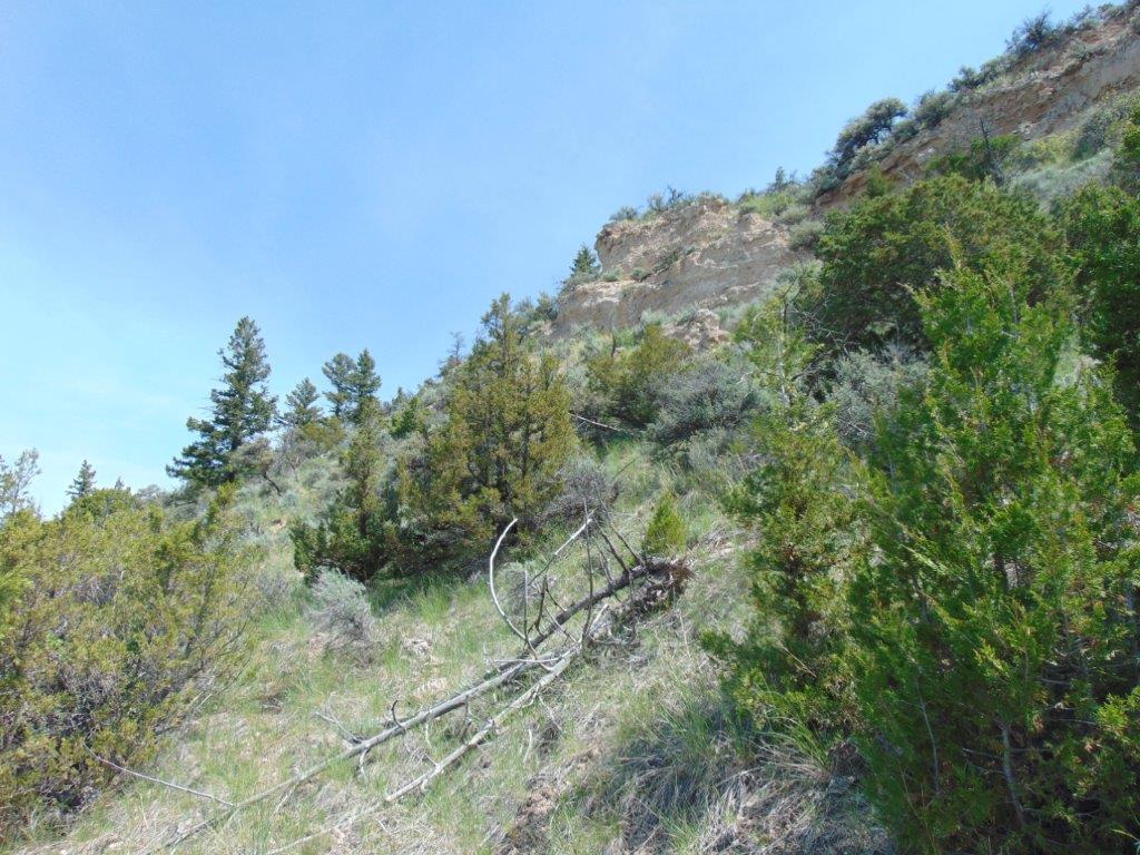 Tbd Lone Wolf Trail Property Photo 47