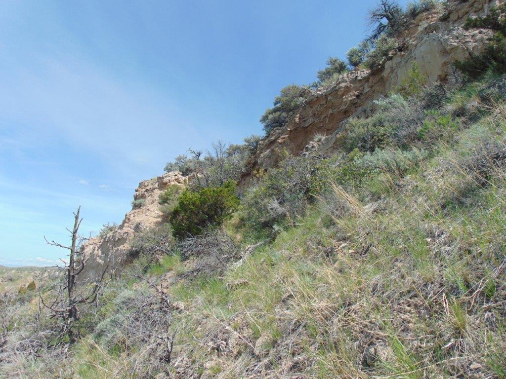 Tbd Lone Wolf Trail Property Photo 48