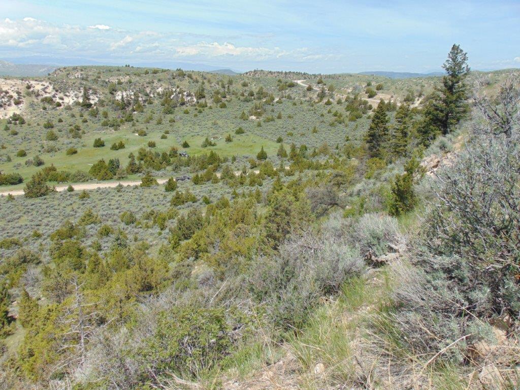 Tbd Lone Wolf Trail Property Photo 49