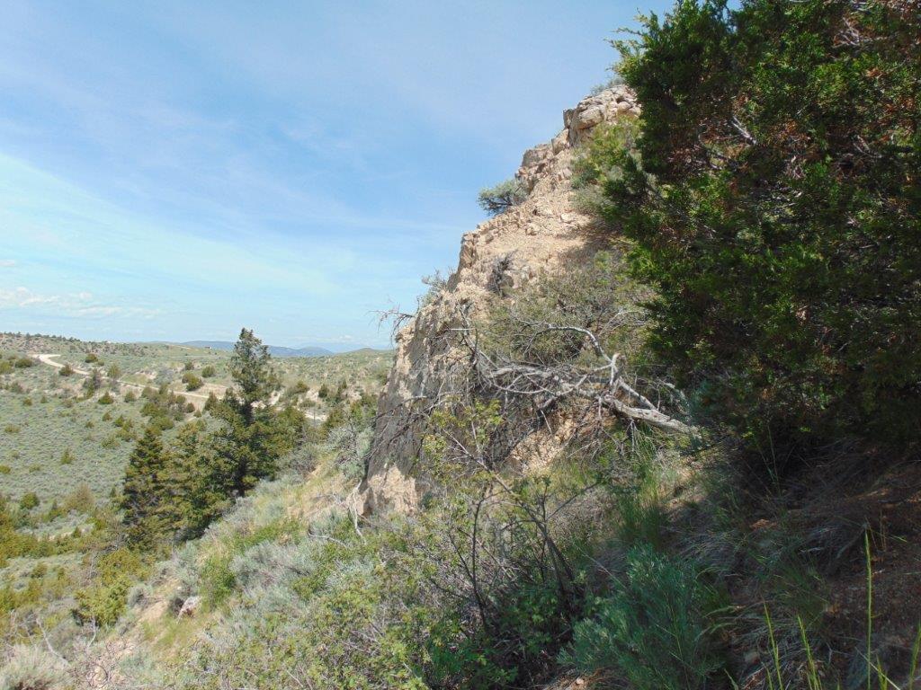 Tbd Lone Wolf Trail Property Photo 50