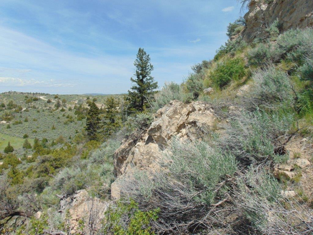 Tbd Lone Wolf Trail Property Photo 51