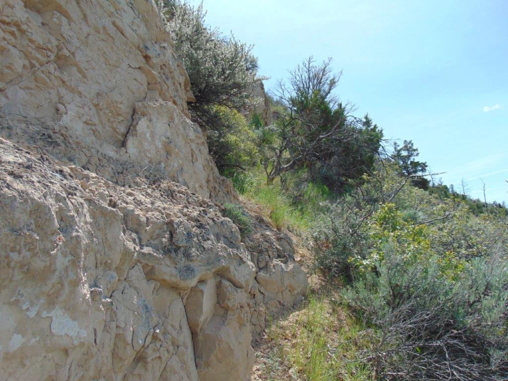 Tbd Lone Wolf Trail Property Photo 52