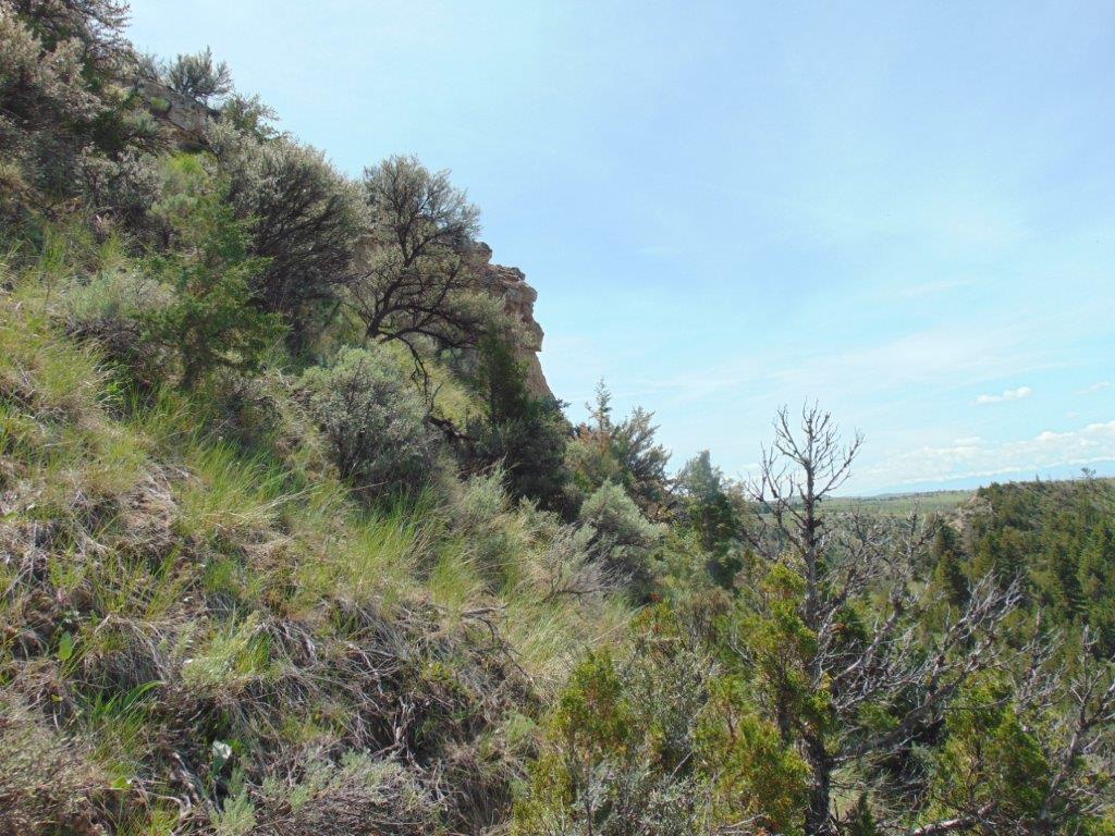 Tbd Lone Wolf Trail Property Photo 55
