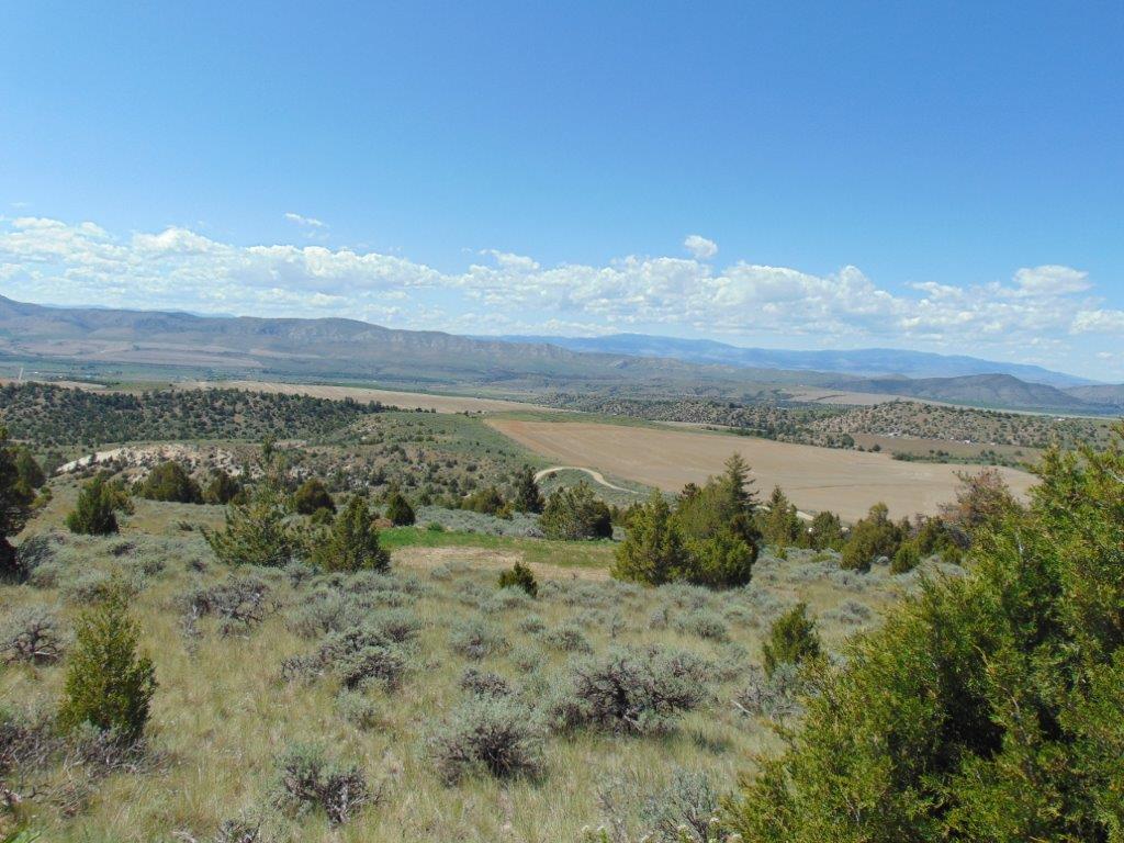 Tbd Lone Wolf Trail Property Photo 60