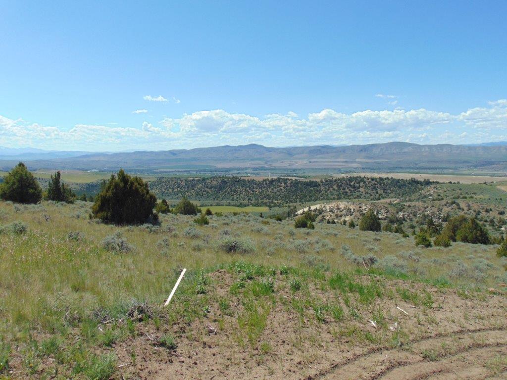 Tbd Lone Wolf Trail Property Photo 63