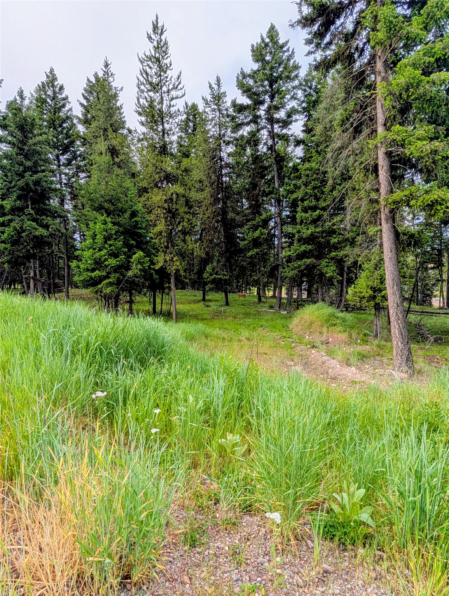 304 Seclusion Point Property Photo 1