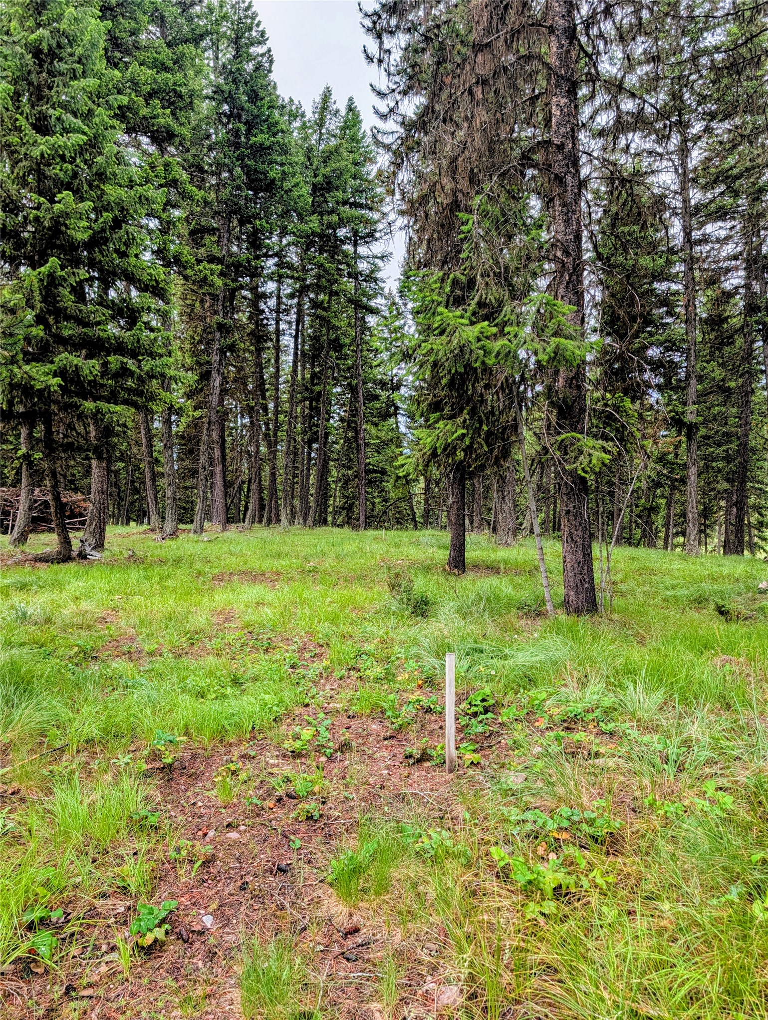 304 Seclusion Point Property Photo 6
