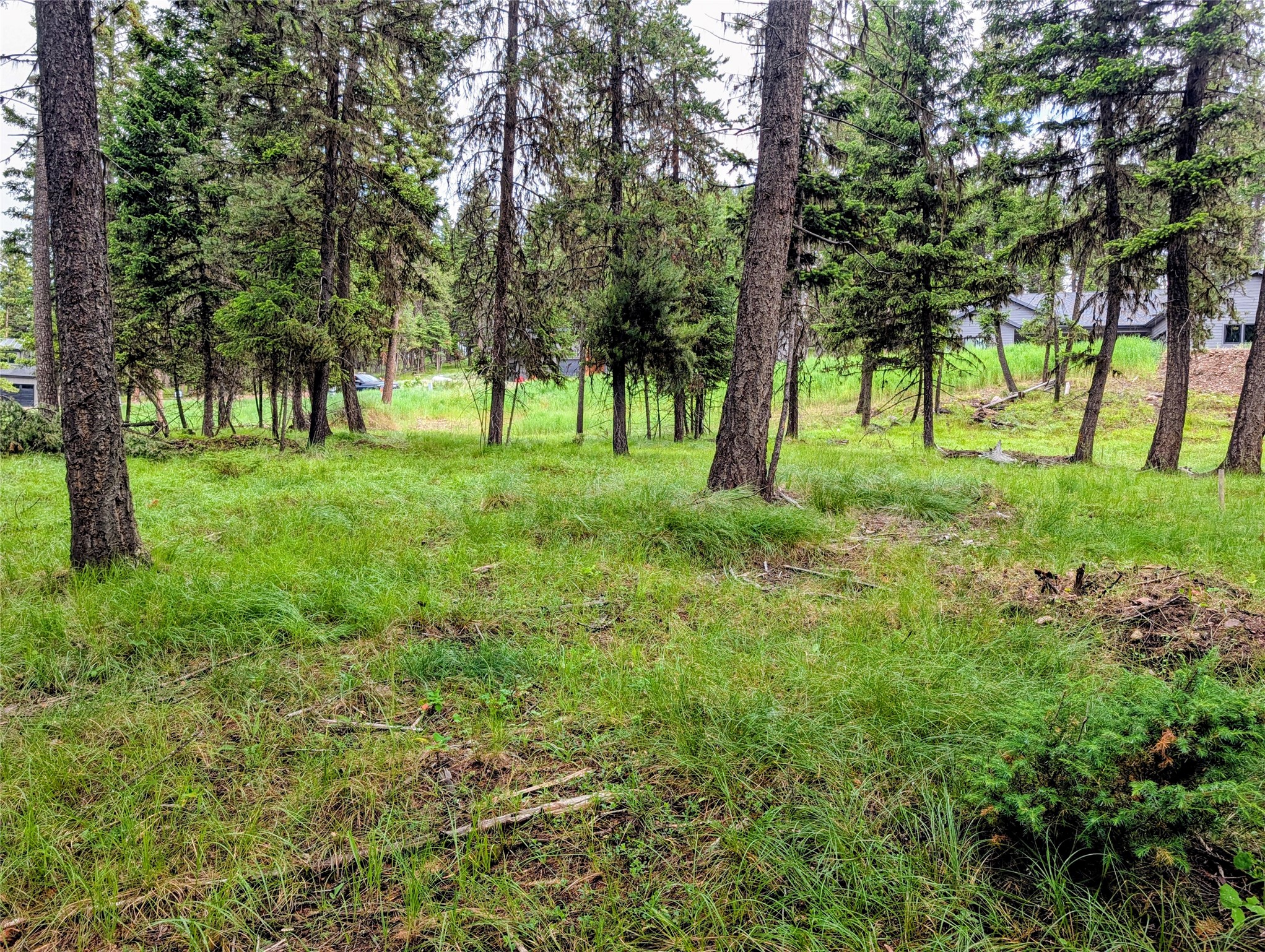 304 Seclusion Point Property Photo 7