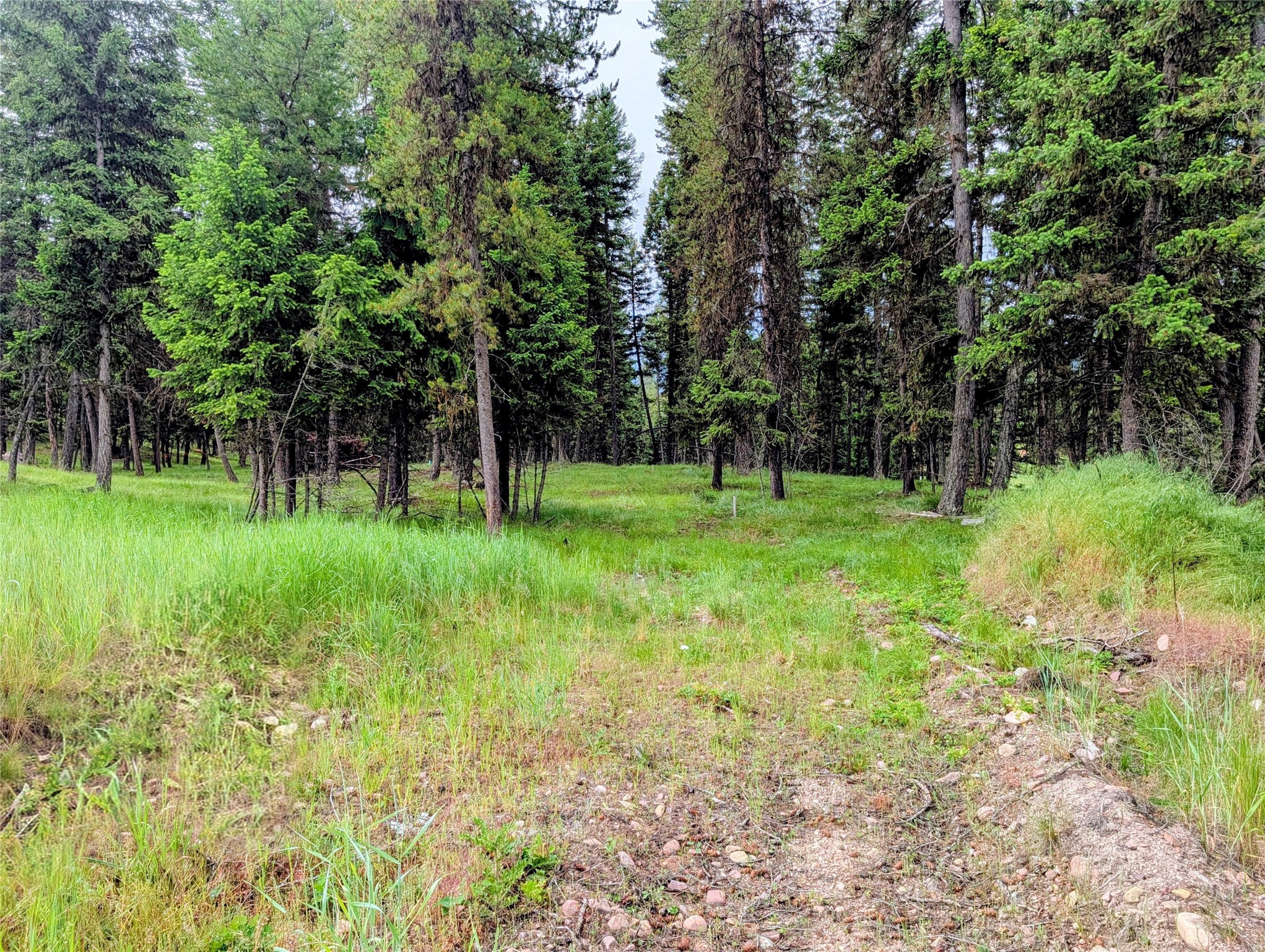 304 Seclusion Point Property Photo 10