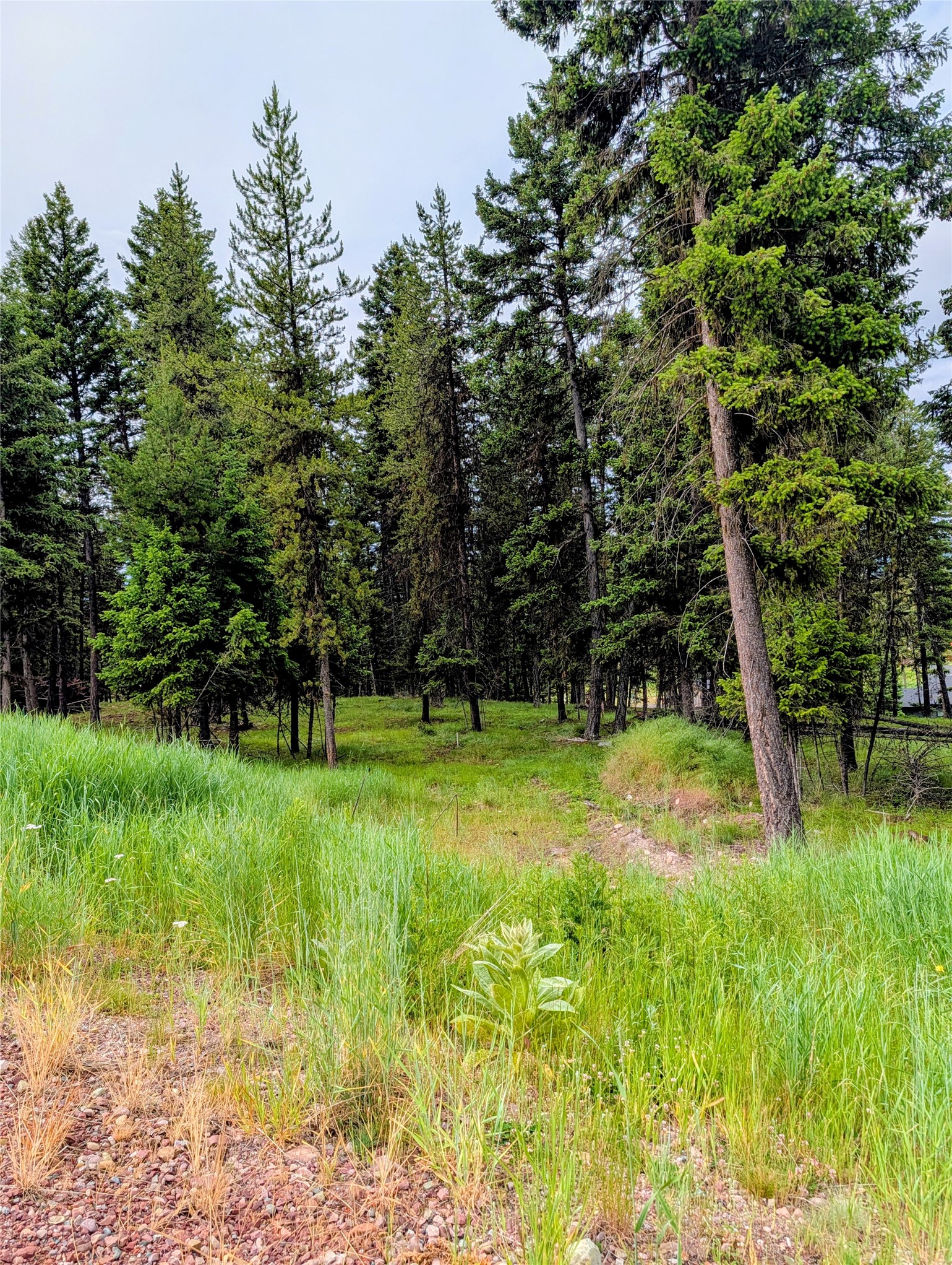 304 Seclusion Point Property Photo 12