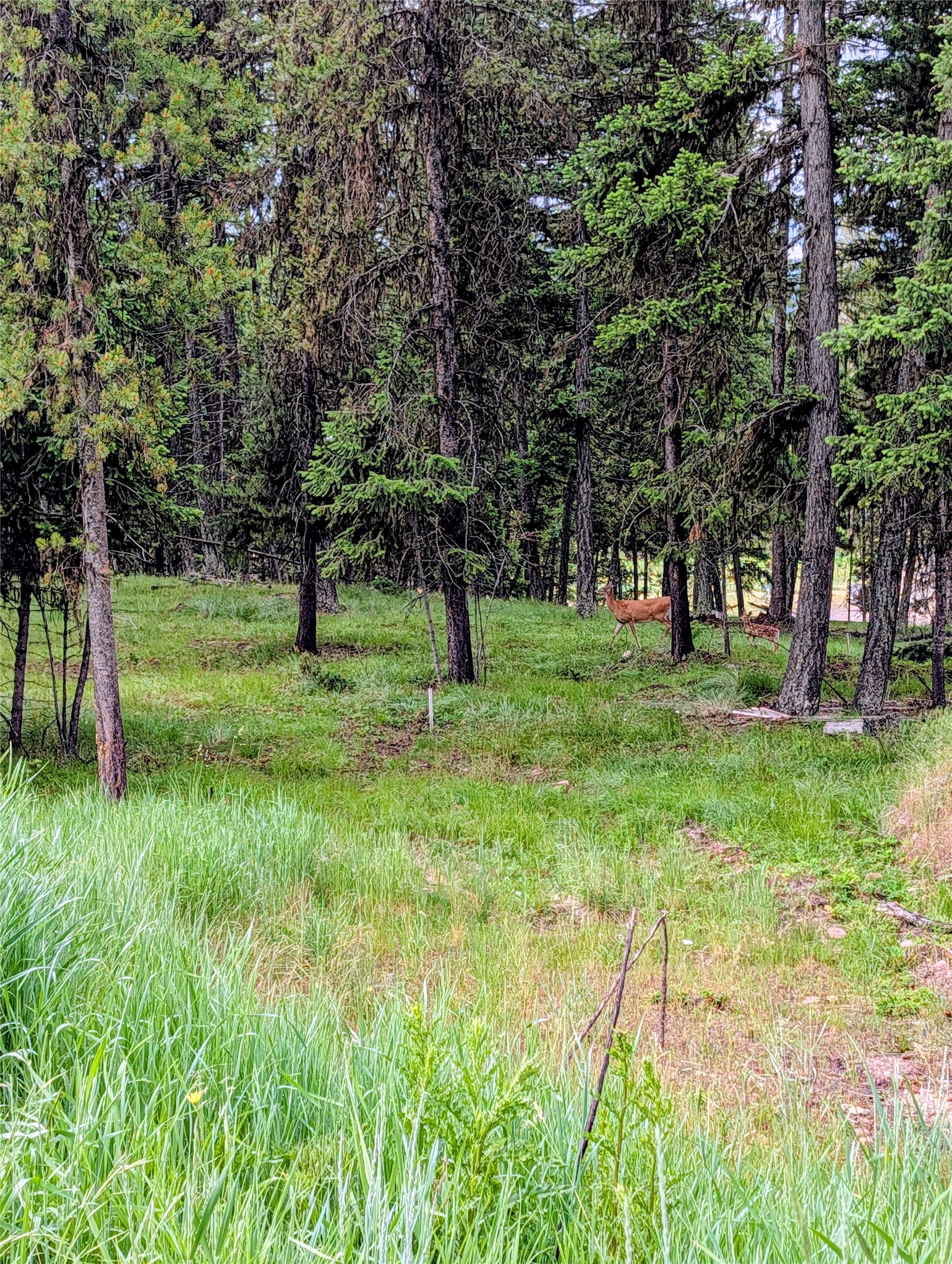 304 Seclusion Point Property Photo 14