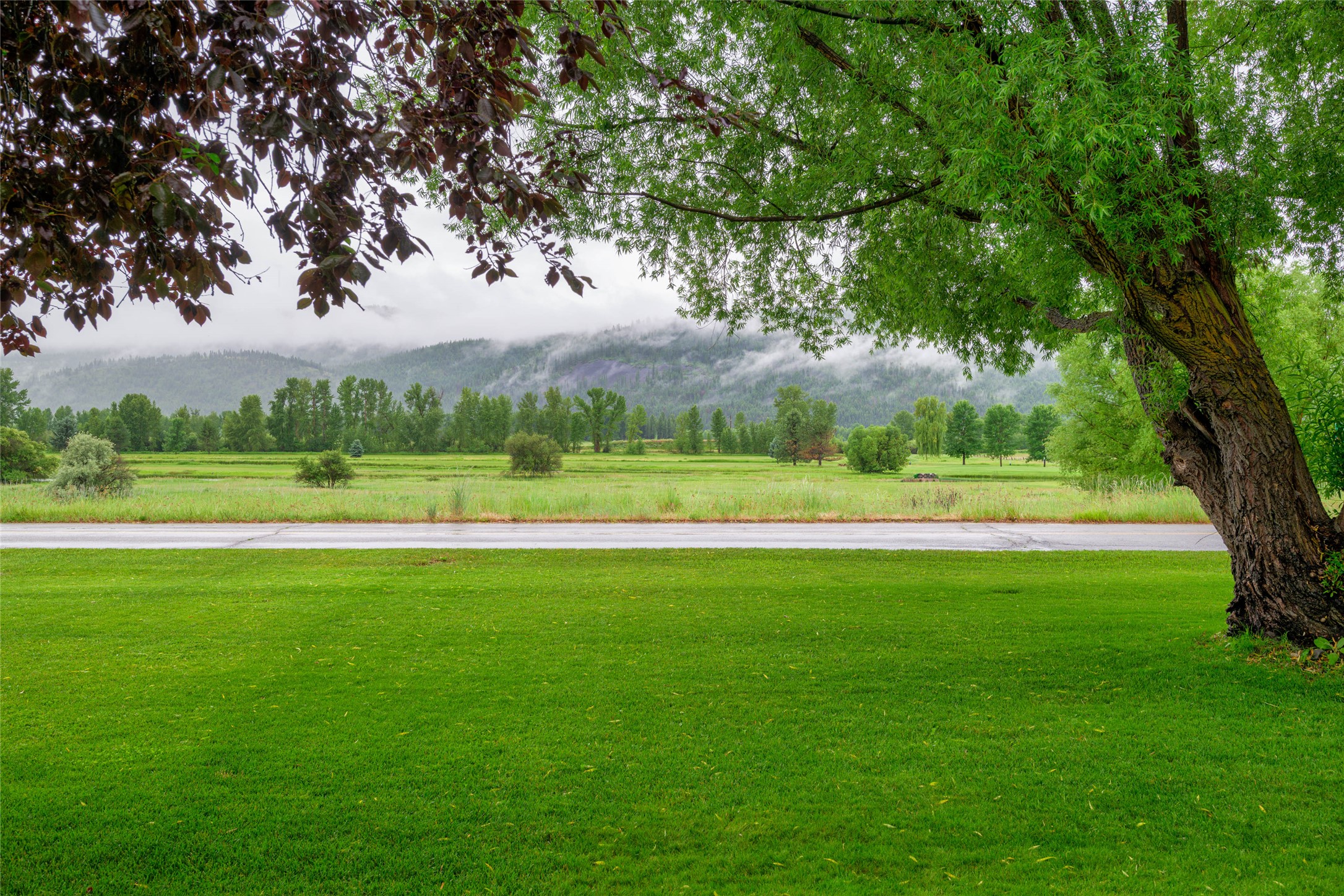 18050 Mullan Road Property Photo 8