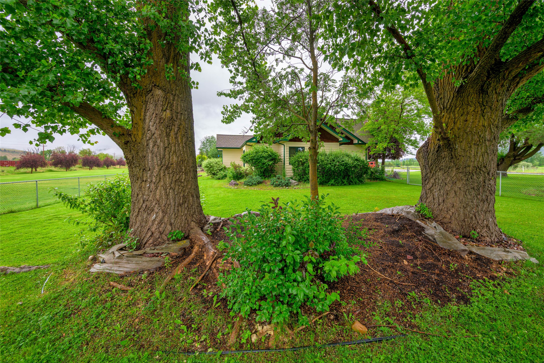 18050 Mullan Road Property Photo 73