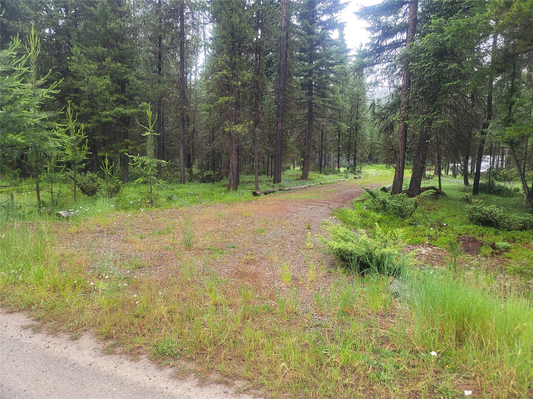 104 Lone Wolf Trail Property Photo 1