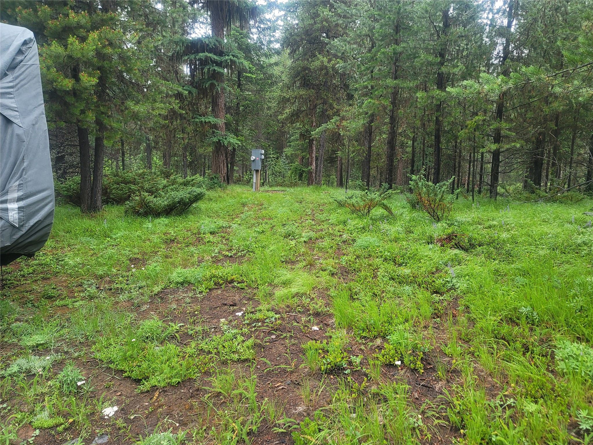 104 Lone Wolf Trail Property Photo 3
