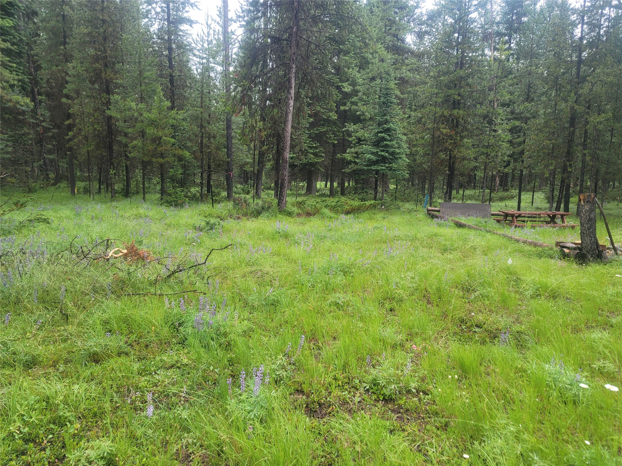 104 Lone Wolf Trail Property Photo 5