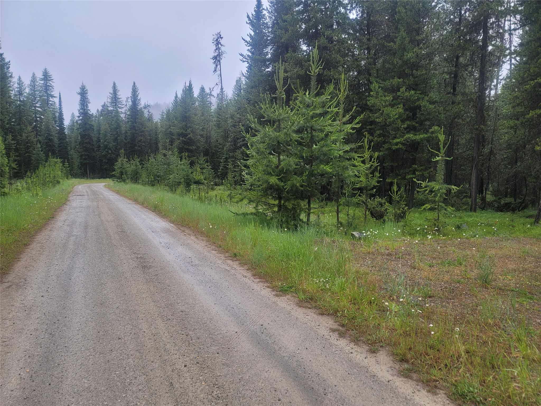 104 Lone Wolf Trail Property Photo 8